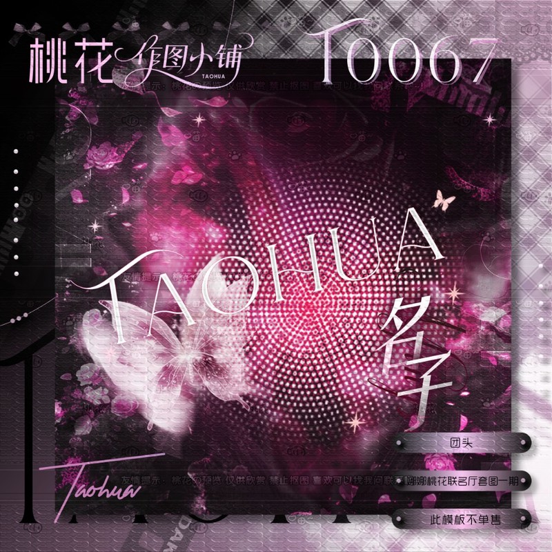 T0067